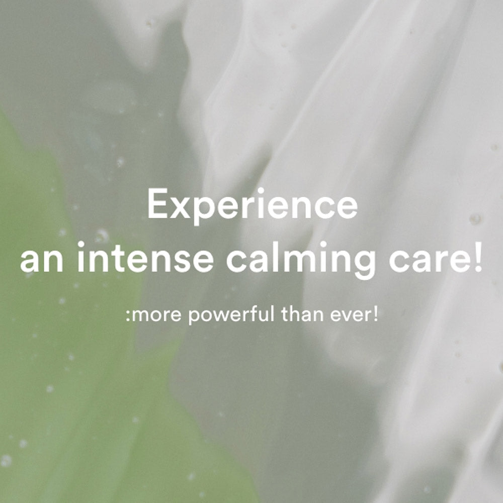 Abib Heartleaf Essence Calming Pump 1.69 fl oz / 50ml I Essence for Face, Soothing, Hydrating