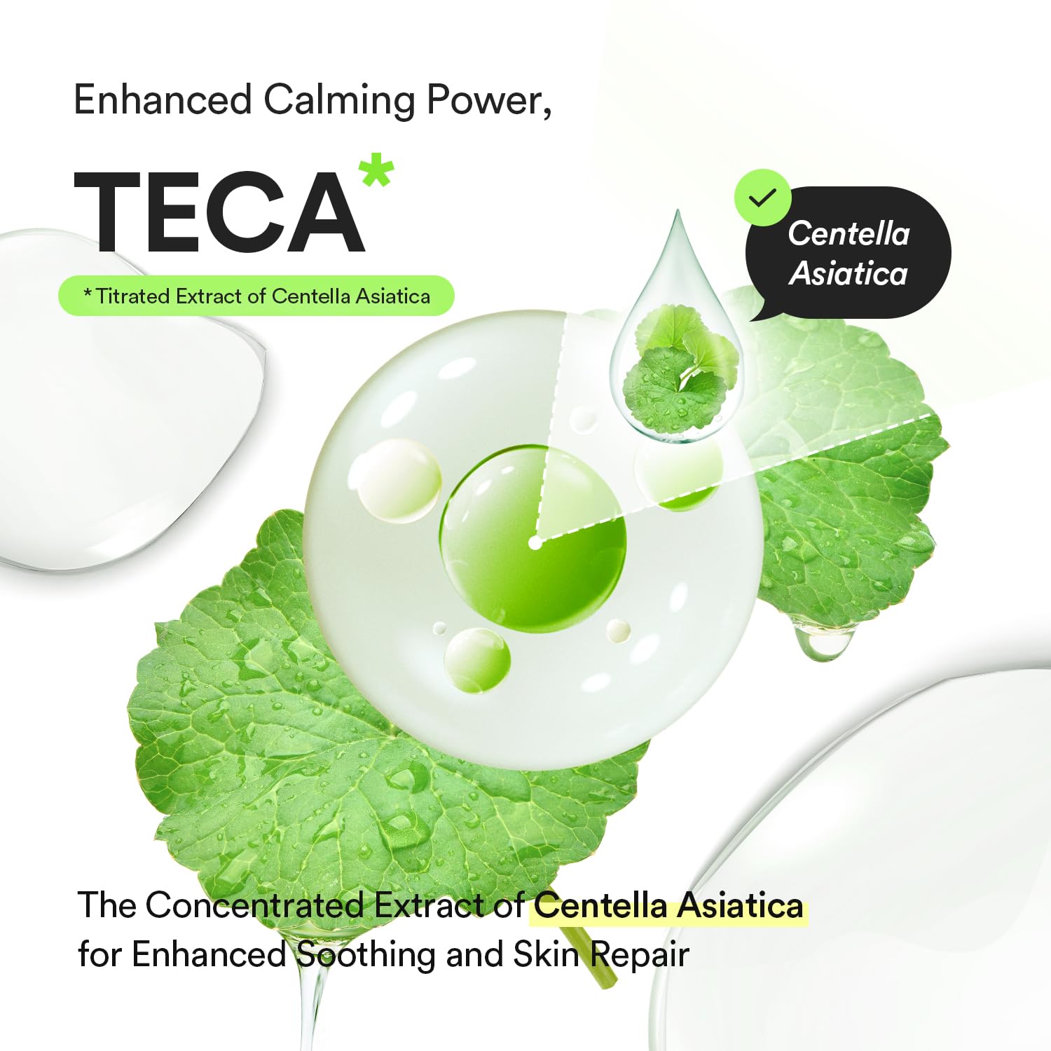 Abib Heartleaf Teca Capsule Serum Calming Drop 1.69 fl oz, Centella Asiatica & Niacinamide Serum for Soothing, Acne Treatment for Face, Korean Skin Care for Oily Skin